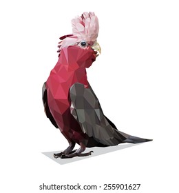 Vector Polygonal Galah Rose Breasted Cockatoo