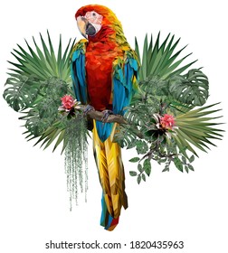 Vector polygonal illustrate drawing of Herlequin macaw bird with Amazon forest plants in white background.