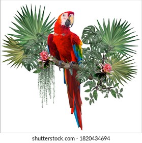 Vector polygonal illustrate drawing of Scarlet macaw bird with Amazon forest plants in white background.