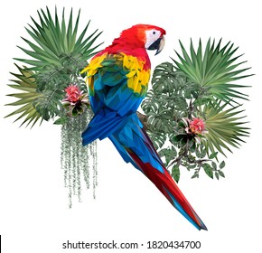 Vector polygonal illustrate drawing of Scarlet macaw bird with Amazon forest plants in white background.