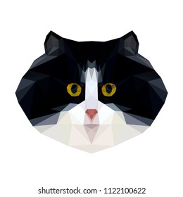 Vector polygonal illustration of a black and white fluffy cat.