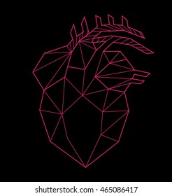 Vector polygonal illustration with geometric anatomical human heart. Line art. Origami style.