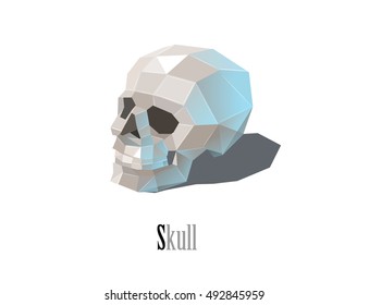 Vector polygonal illustration of human skull, modern Halloween icon, isolated on white background 