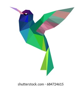 vector polygonal illustration of humming bird