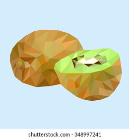 Vector polygonal illustration kivi
