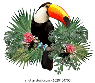 Vector Polygonal illustration of toucan bird and amazon forest plants with white background.