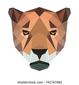 Vector polygonal jaguar isolated on white. Low poly cat illustration. Color vector simple animal predator image.