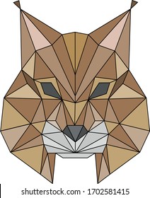 Vector polygonal linear geometric isolated head of lynx