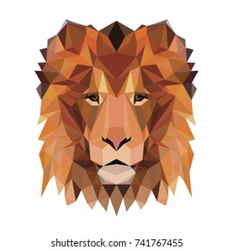 Vector polygonal lion isolated on white. Low poly cat illustration. Color vector simple animal predator image.