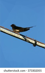 vector polygonal swallow on a wire
