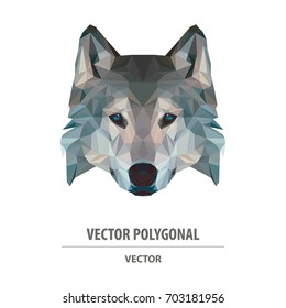 Vector polygonal wolf head. Low poly animal illustration. Triangle color image.