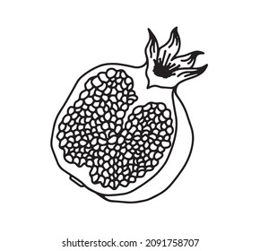 Esbozo dibujado a mano por granada vectorial.  Rentabilidad de granadas de grano a mano. Arte de líneas, granada fresca. Aislado sobre fondo blanco.