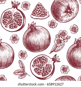 Vector pomegranate  hand drawn sketch.  Vector seamless pattern.  Vintage style