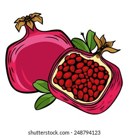 Vector pomegranate isolated background