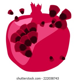 Vector pomegranate and isolated pomegranate's seeds