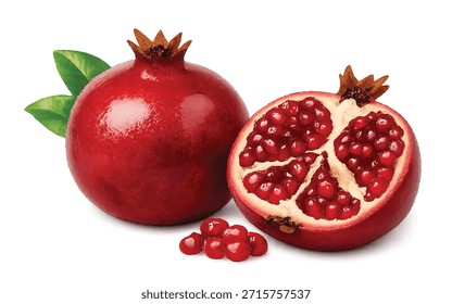 Vektor Granatapfel, geschnitten ​Granatapfel​ Granatapfelhälfte und Samen. Vektorrealistische Frucht, eps