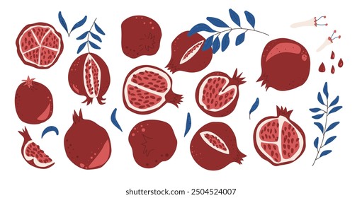 Vector pomegranates collection. Whole, half and cracked and cut fruit with leaves and seeds kit. Hand drawn flat collection illustration isolated on white background.