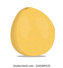 vector Pomelos on white background color