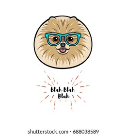 Vector pomeranian spitz dog face in retro hipster. Vector illustration isolated on white background