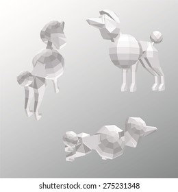 Vector poodle dog