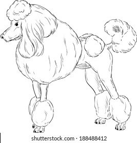 2,072 Poodle outline Images, Stock Photos & Vectors | Shutterstock