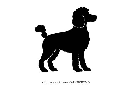 Vector Poodle silueta fondo blanco