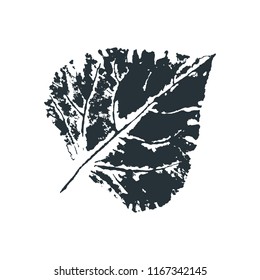 Vector poplar Leaf print. Inkprinted leaves of the trees on paper. Traced vector image.