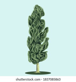 Vector poplar tree isolated on light blue background