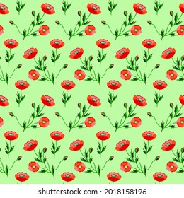 Vector - poppies flower variation seamless pattern as a watercolor illustration with leaves.
