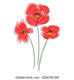 Vector Poppies Flowers in Digital Watercolour and Continuous Line Drawing. Red Poppy. . Outline Simple Artwork with Editable Stroke.