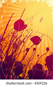 Vector poppies look at the sun
