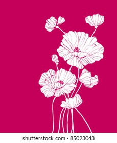 Vector poppies white on pink