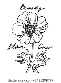 Vector poppy flower outline black and white linear illustration with lettering. Summer poppy flower can use for coloring, postcard, invitation, greeting card, package design, textile, fabric, label.