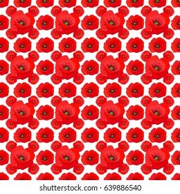 Vector poppy flower seamless pattern on a white background.