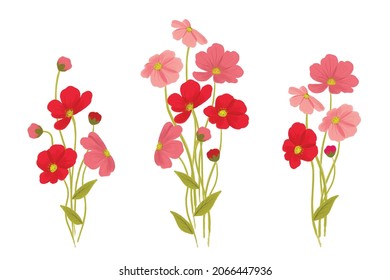 vector poppy flowers isolated on white background for textile, wallpapers, prints and web design