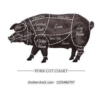 Vintage Pig Butcher Chart