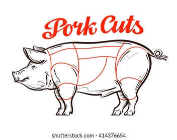 vector pork, pig chart. meat cuts or butcher shop