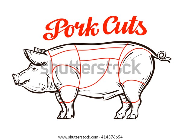 Pork Chart Cuts Of Meat