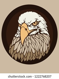 Vector portrait of an american bald eagle in oval frame.