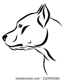 Vector portrait of american staffordshire terrier