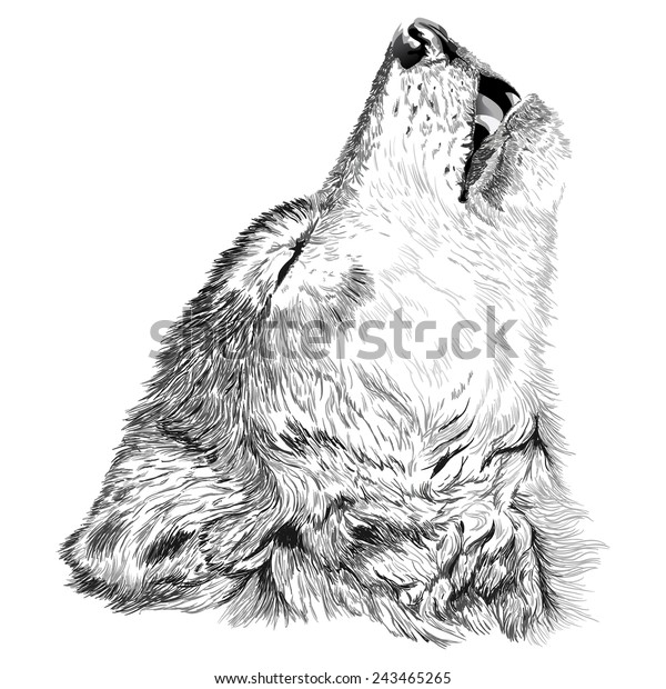 Vector Portrait Angry Wolf Face Stock Vector (Royalty Free) 243465265