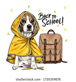 Vector portrait of beagle dog with backpack, pens and pencils wearing the raincoat. Back to school illustration. Hand drawn pet portait. Study poster, student cartoon. Education metaphor
