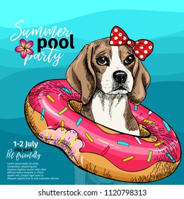 Vector portrait of beagle dog swimming in water. Donut float. Summer pool paty illustration. Sea, ocean, beach. Hand drawn pet portait. Poster, t-shirt print, holiday, postcard, summertime