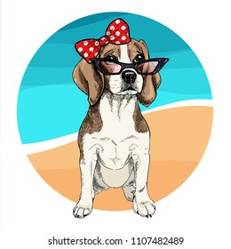 Vector portrait of beagle dog wearing sunglasses and retro bow. Summer fashion illustration. Vacation, sea, beach, ocean. Hand drawn pet portait. Poster, t-shirt print, holiday, postcard, summertime.