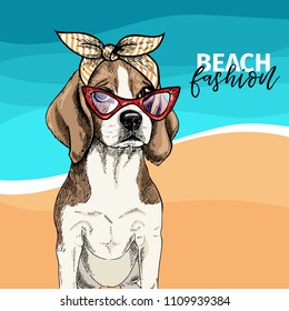 Vector portrait of beagle dog wearing sunglasses, retro bandana. Summer fashion illustration. Vacation, sea, beach, ocean. Hand drawn pet portait. Poster, t-shirt print, holiday, postcard summertime