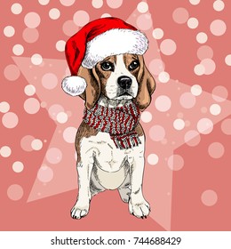 Vector portrait of beagle dog wearing santa hat and scarf. Isolated on star and sparklers bokeh. Sketched color illustration. Christmas, Xmas, New year. Party decoration, promotion, greeting card.