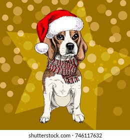 Vector portrait of beagle dog wearing santa hat and scarf. Isolated on star and sparklers bokeh. Sketched color illustration. Christmas, Xmas, New year. Party decoration, promotion, greeting card.