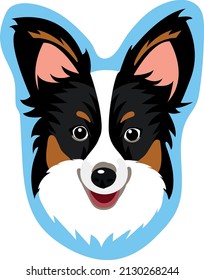 Vector portrait of black and brown continental toy terrier. Papillon dog muzzle close up