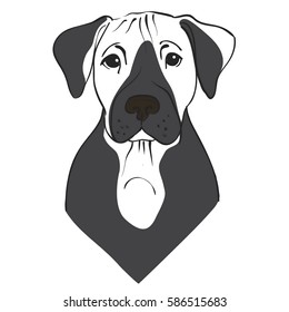 vector portrait of boxer puppy