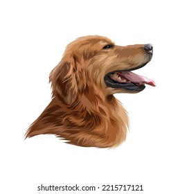 Vector portrait of a brown dog on a white background